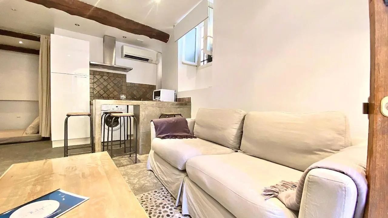 Apartment Ferienwohnung Le Vieux Choeur Nizza Frankreich